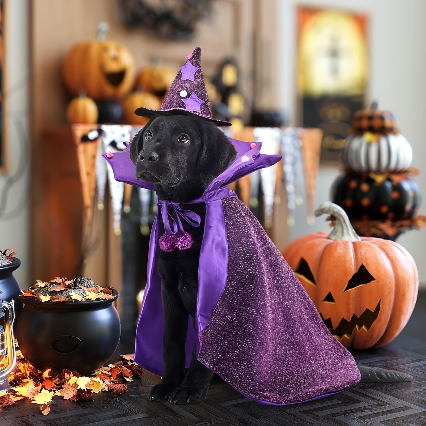 Halloween Witch Cloak And Hat Set For Cats And Dogs