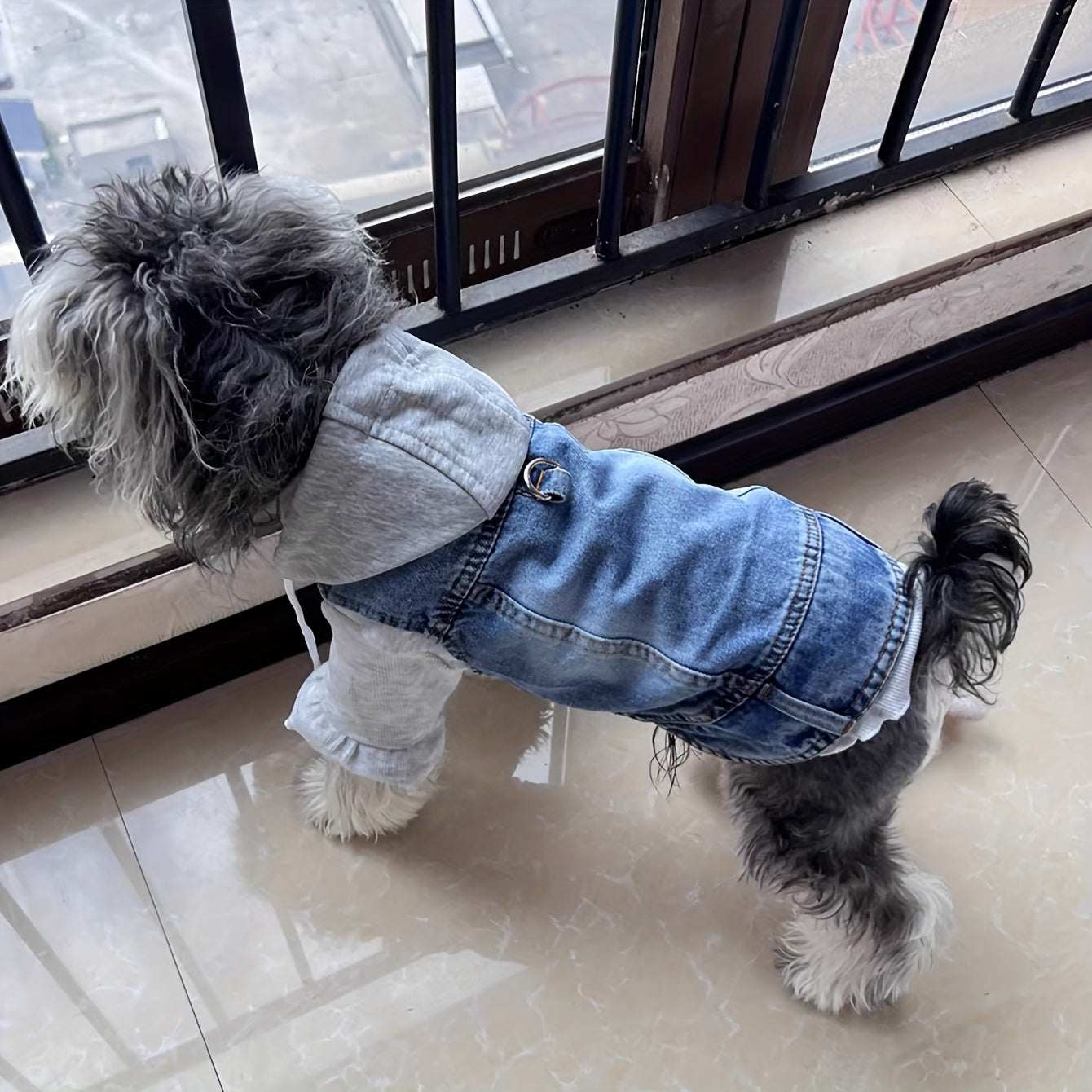 Small dog wearing trendy denim dog vest with adjustable hat and fleece lining outdoors