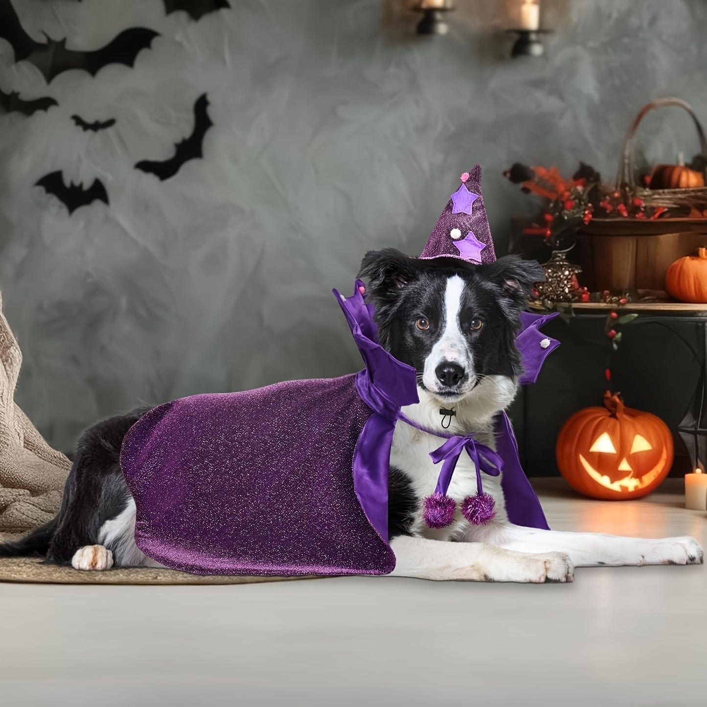Halloween Witch Cloak And Hat Set For Cats And Dogs