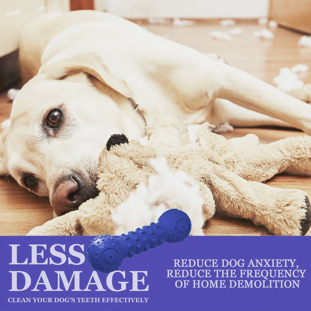 Durable Squeaky Dog Toys for Aggressive Chewers and Large Breeds
