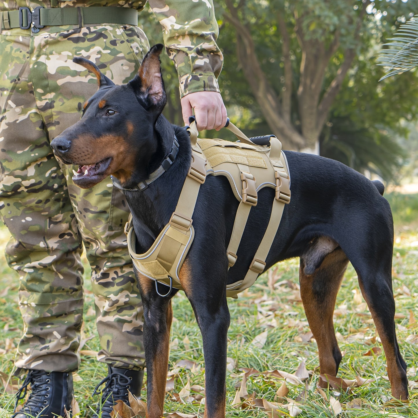 Tactical Dog Harness for Outdoor Training and Night Adventures