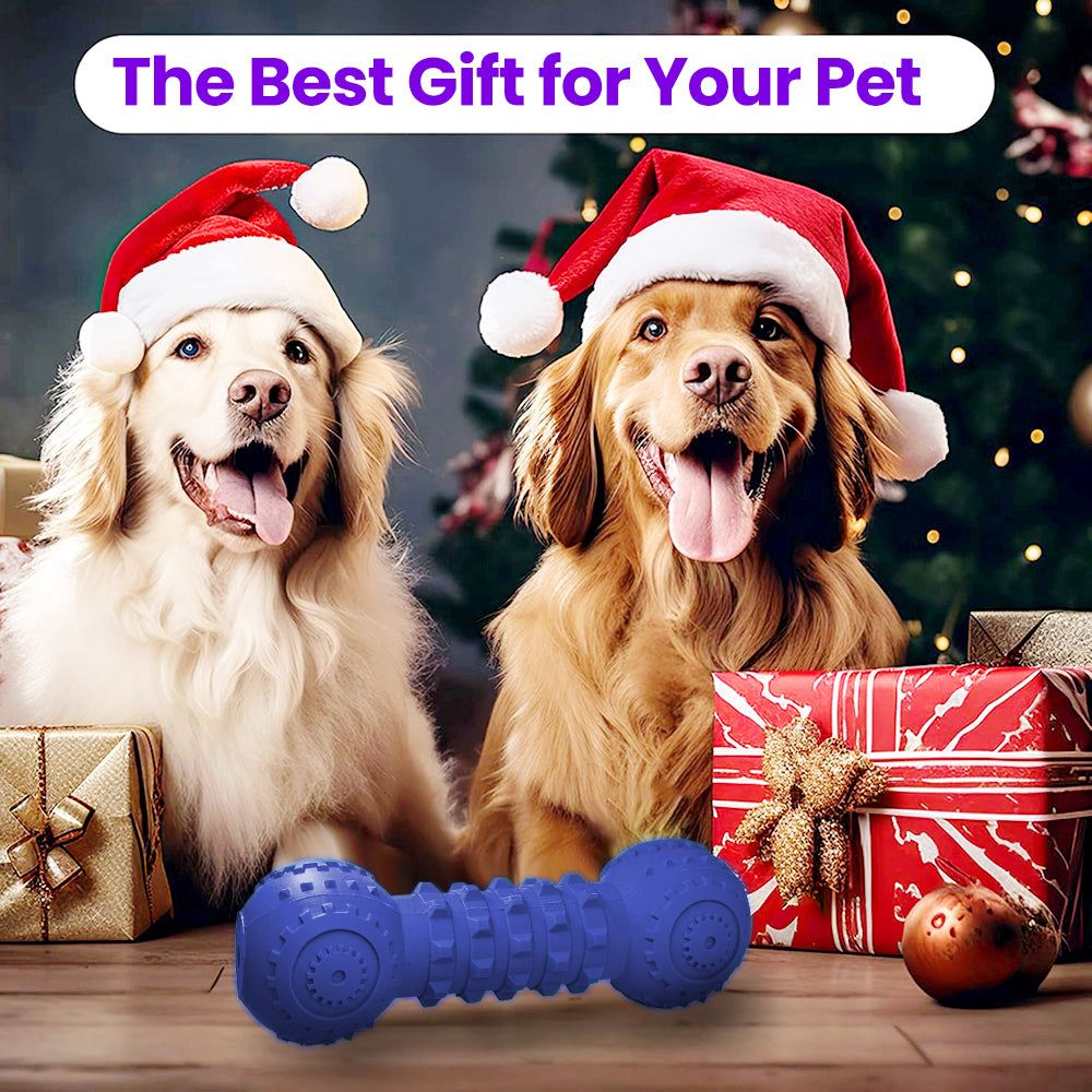 Durable squeaky dog toy made from heavy-duty rubber for aggressive chewers and large breeds