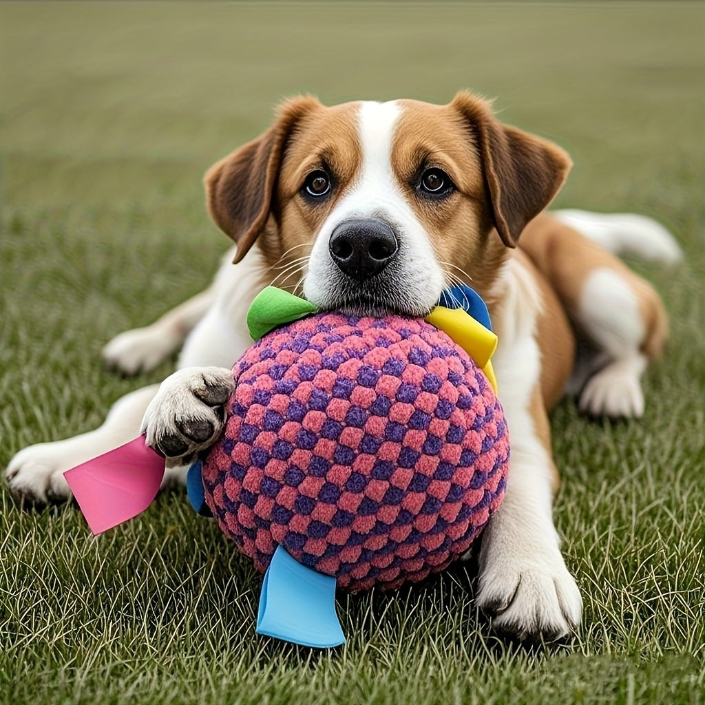 Heavy Duty Chew Proof Dog Training Ball With Bell Toy
