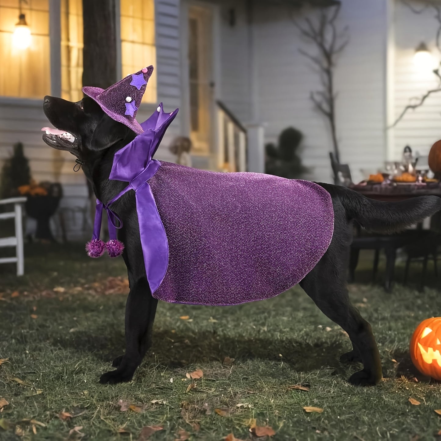 Halloween Witch Cloak And Hat Set For Cats And Dogs