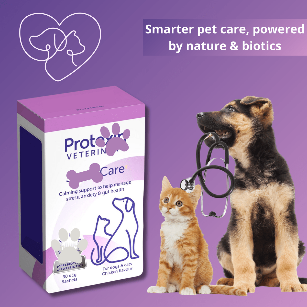 Calming Supplement Sachets For Dogs And Cats Anxiety Relief