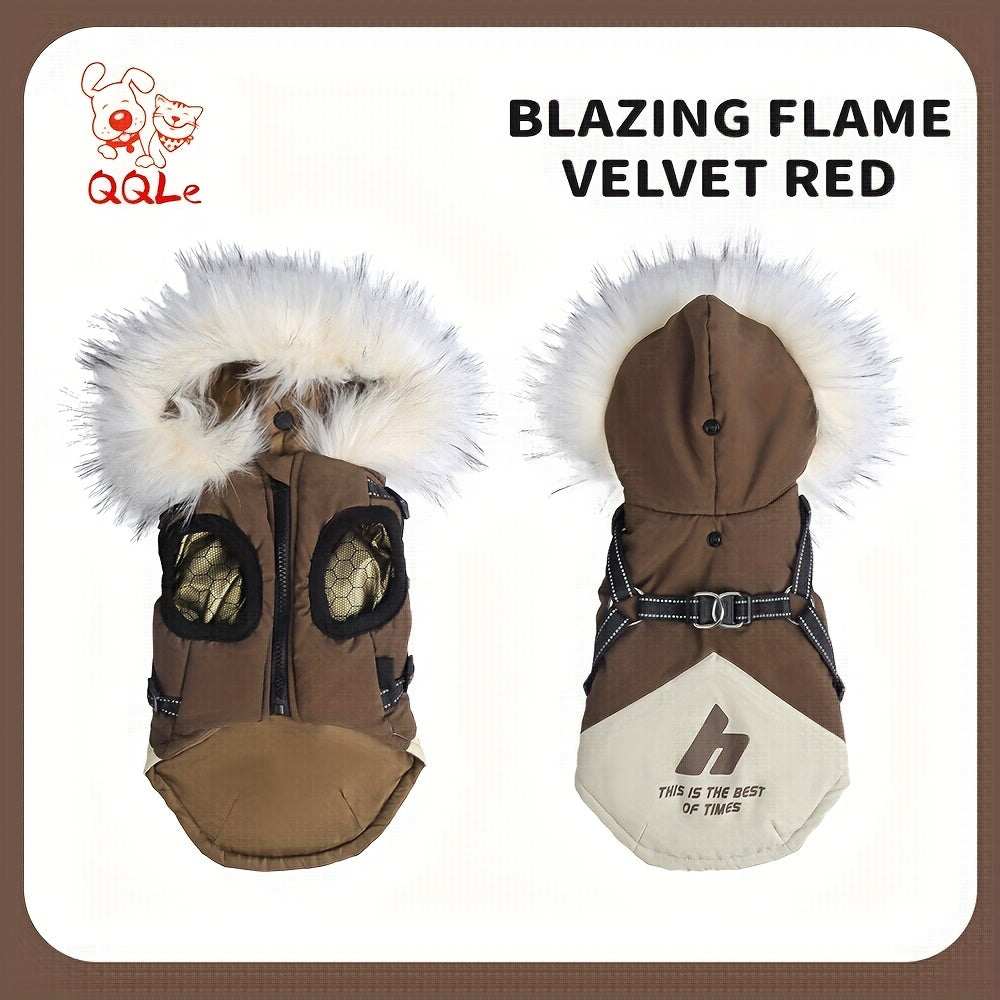 QQLE Autumn Winter Dog Jacket with hood and leash hook on small dog outdoors