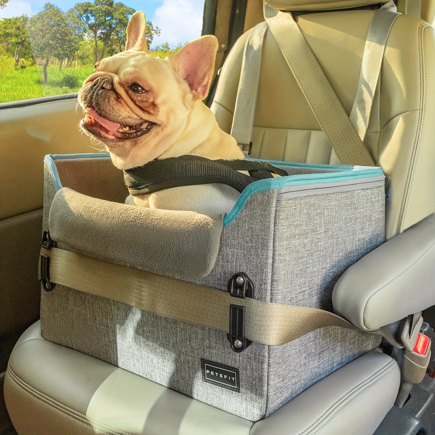 Petsfit Portable Dog Car Seat with Safe Buckles and Leash