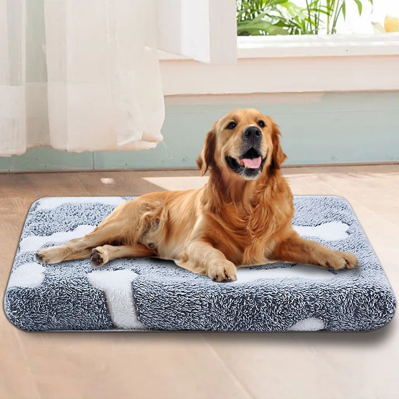 Cozy Cartoon Dog Bed with Stars and Hearts Design
