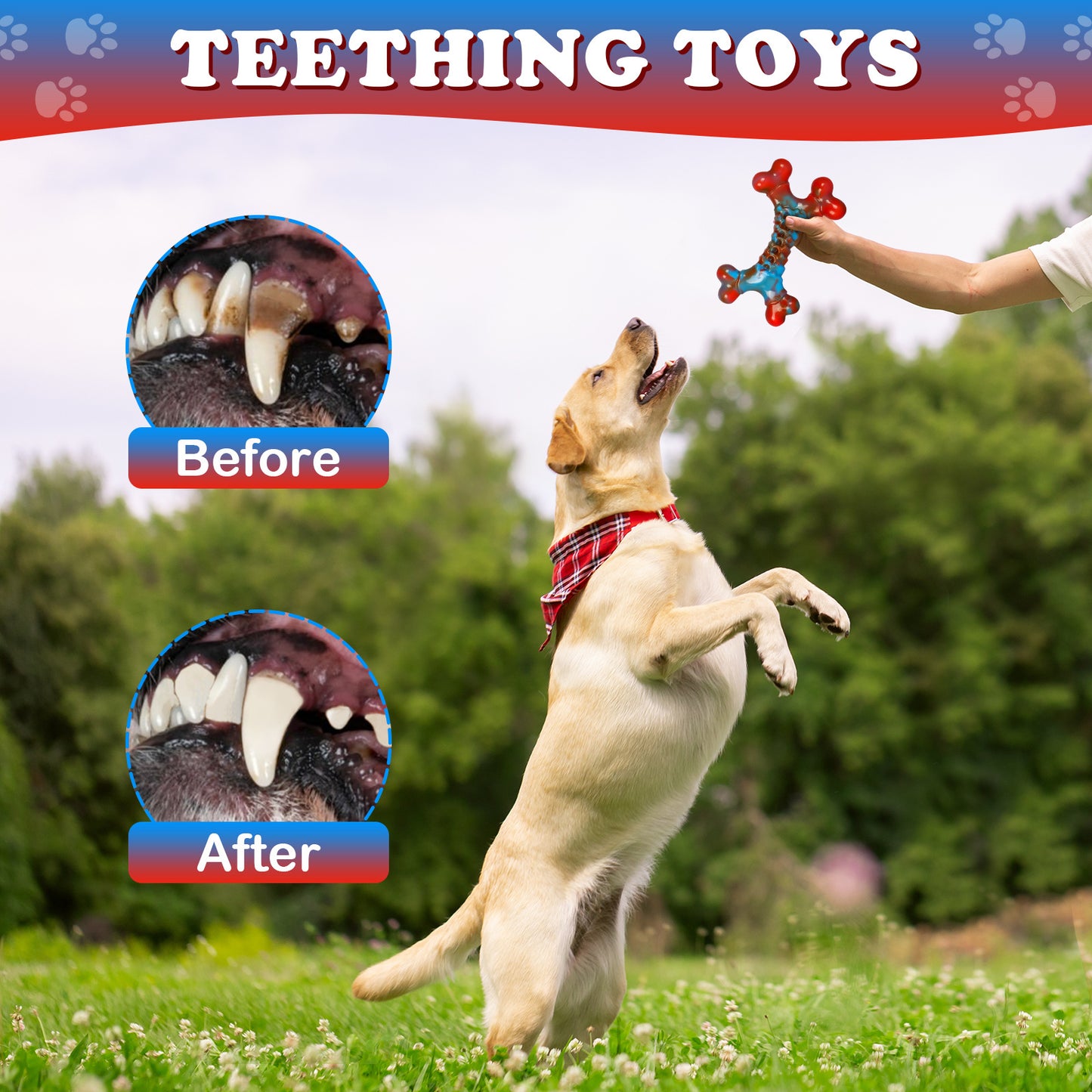 Tough Indestructible Dog Chew Toy for Aggressive Chewers