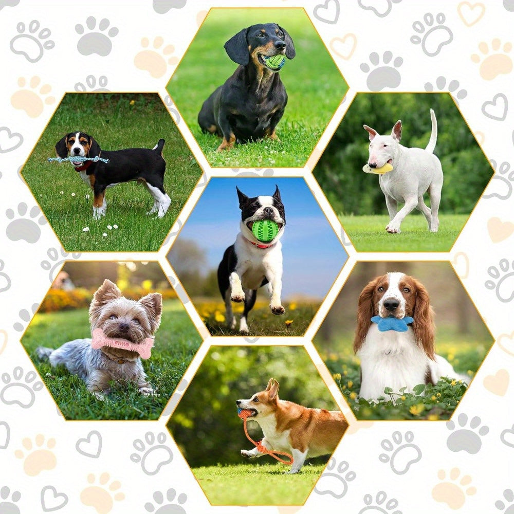 Interactive Dog Toys Set for Small and Medium Dogs