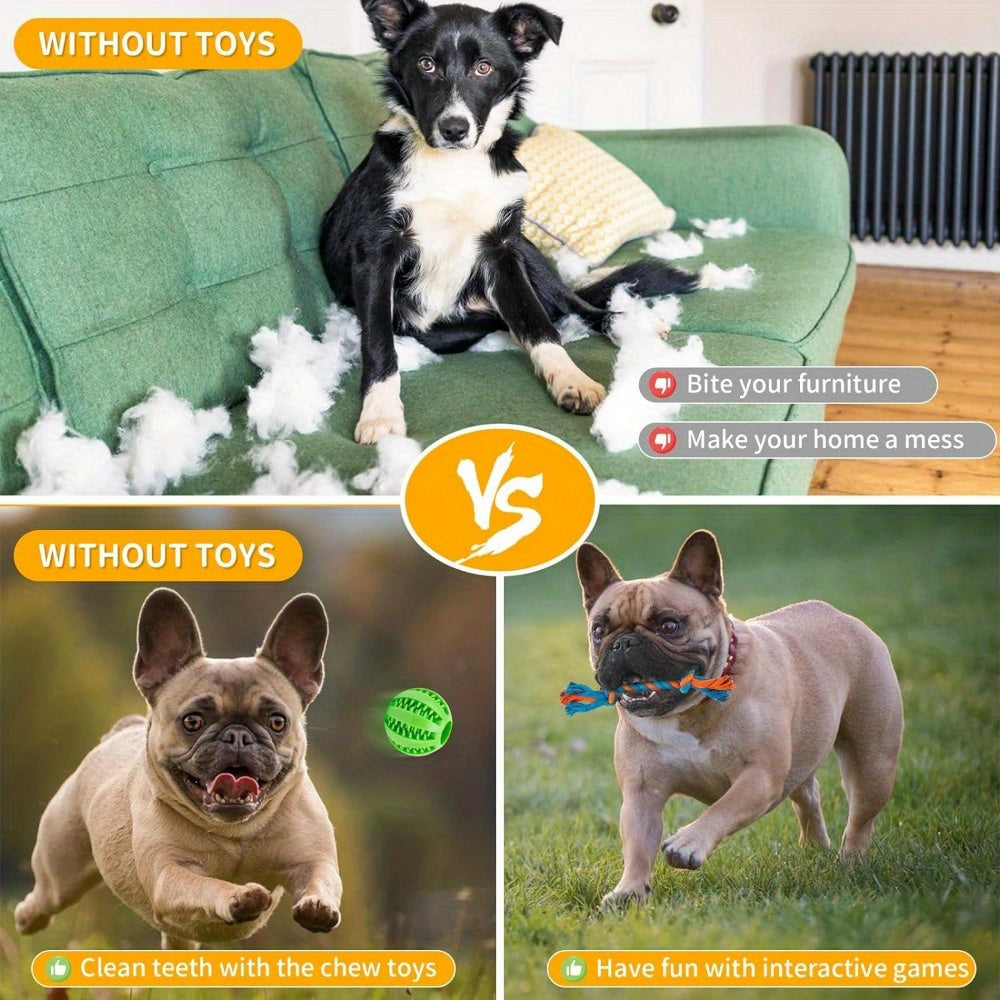 Interactive Dog Toys Set for Small and Medium Dogs