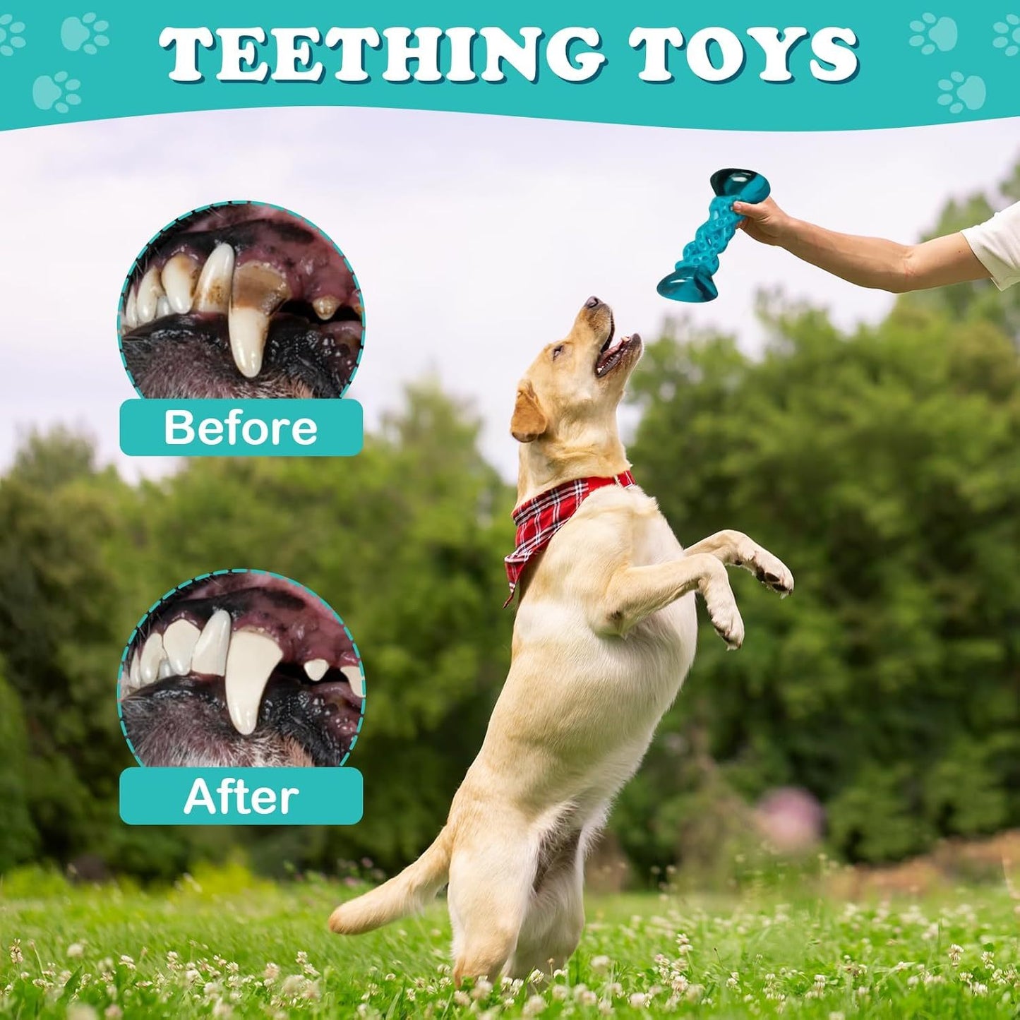 Durable Chew Toys for Large Dogs and Heavy Chewers