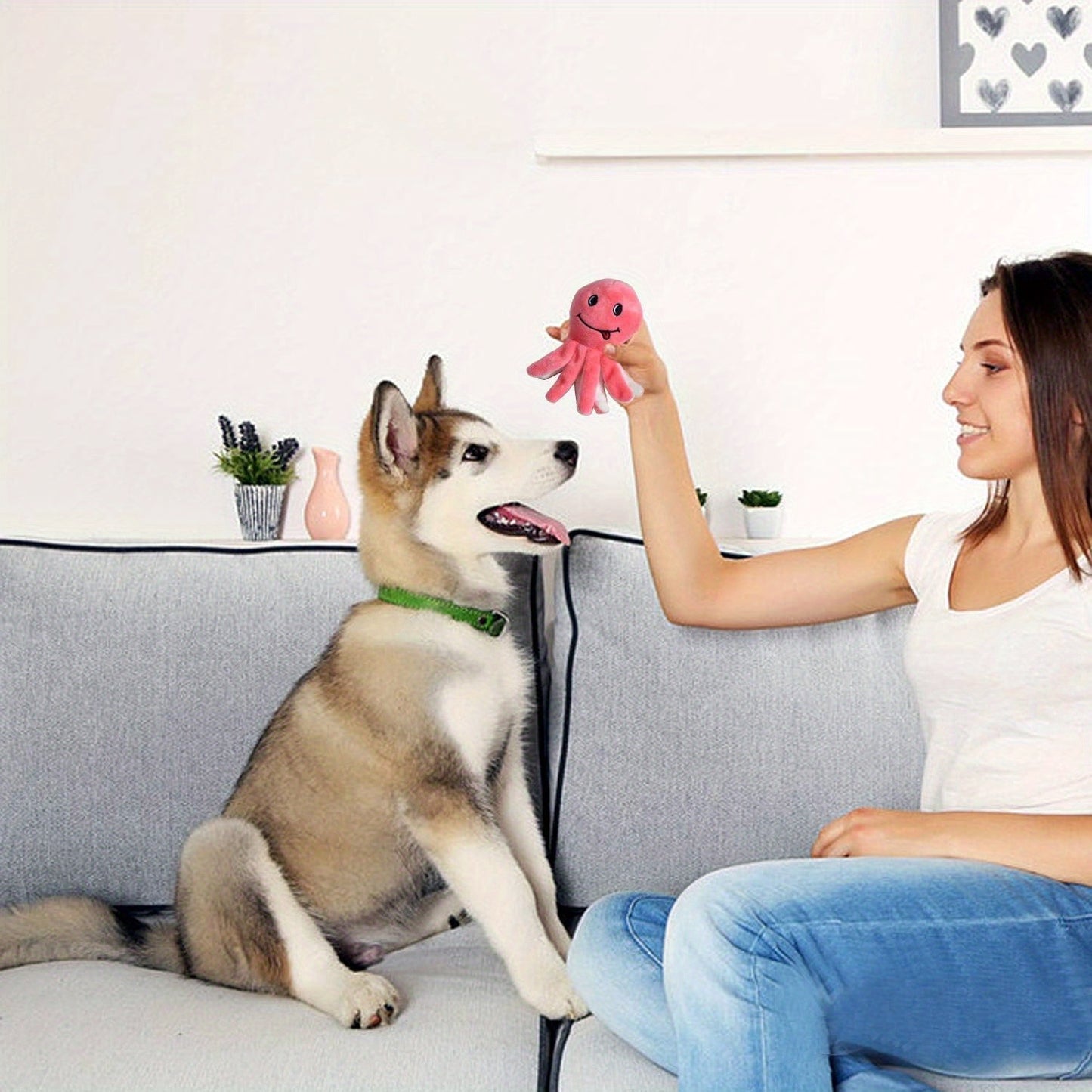 Squeaky Plush Dog Toy Pack for Happy Playtime Fun