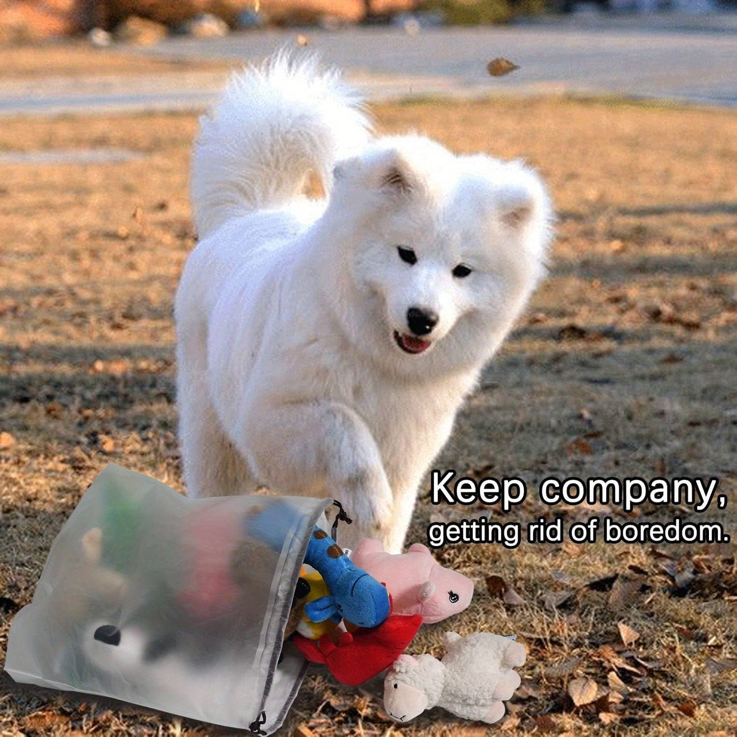 Squeaky Plush Dog Toy Pack for Happy Playtime Fun