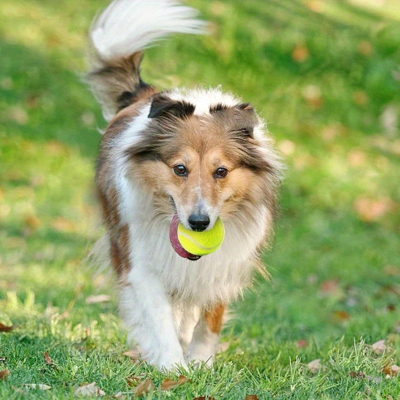Mini Tennis Balls for Dogs Interactive Fun Playtime Game