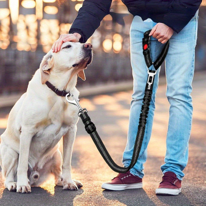 2 In 1 Heavy Duty Universal Dog Car Seat Belt Harness