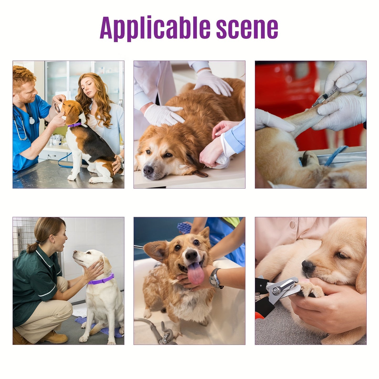 Calming Pheromone Collar For Dogs Adjustable Four Pack Set
