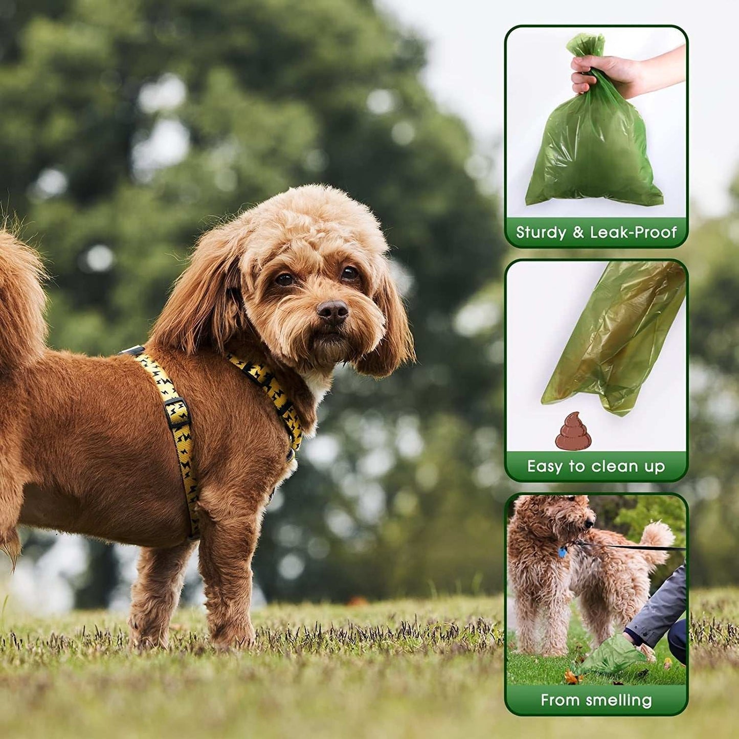 Small to Mid-Sized Pet Care Guide for Growing Veterinary Practices Pro