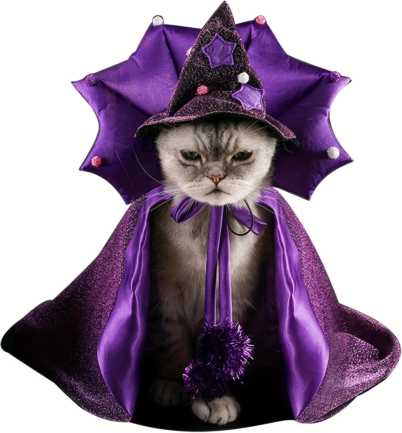 Halloween Witch Cloak And Hat Set For Cats And Dogs