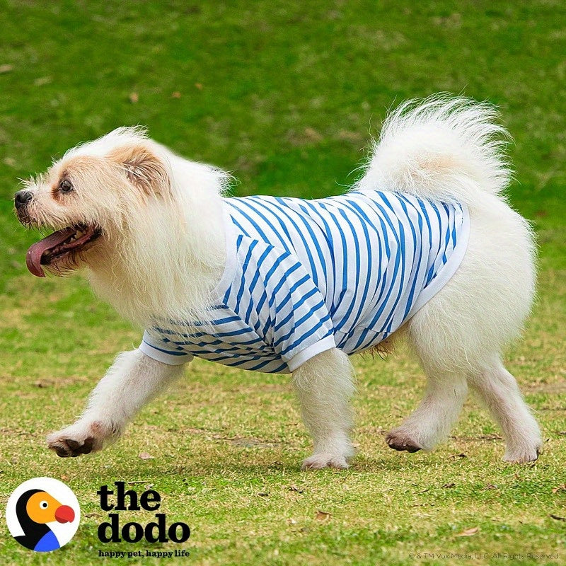 Comfortable Dog T-Shirt for Everyday Wear and Easy Care