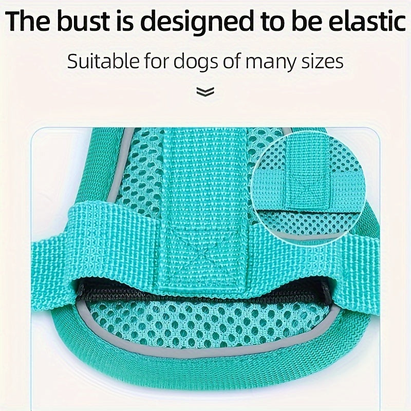 Breathable Reflective Dog Harness and Leash for Small Dogs