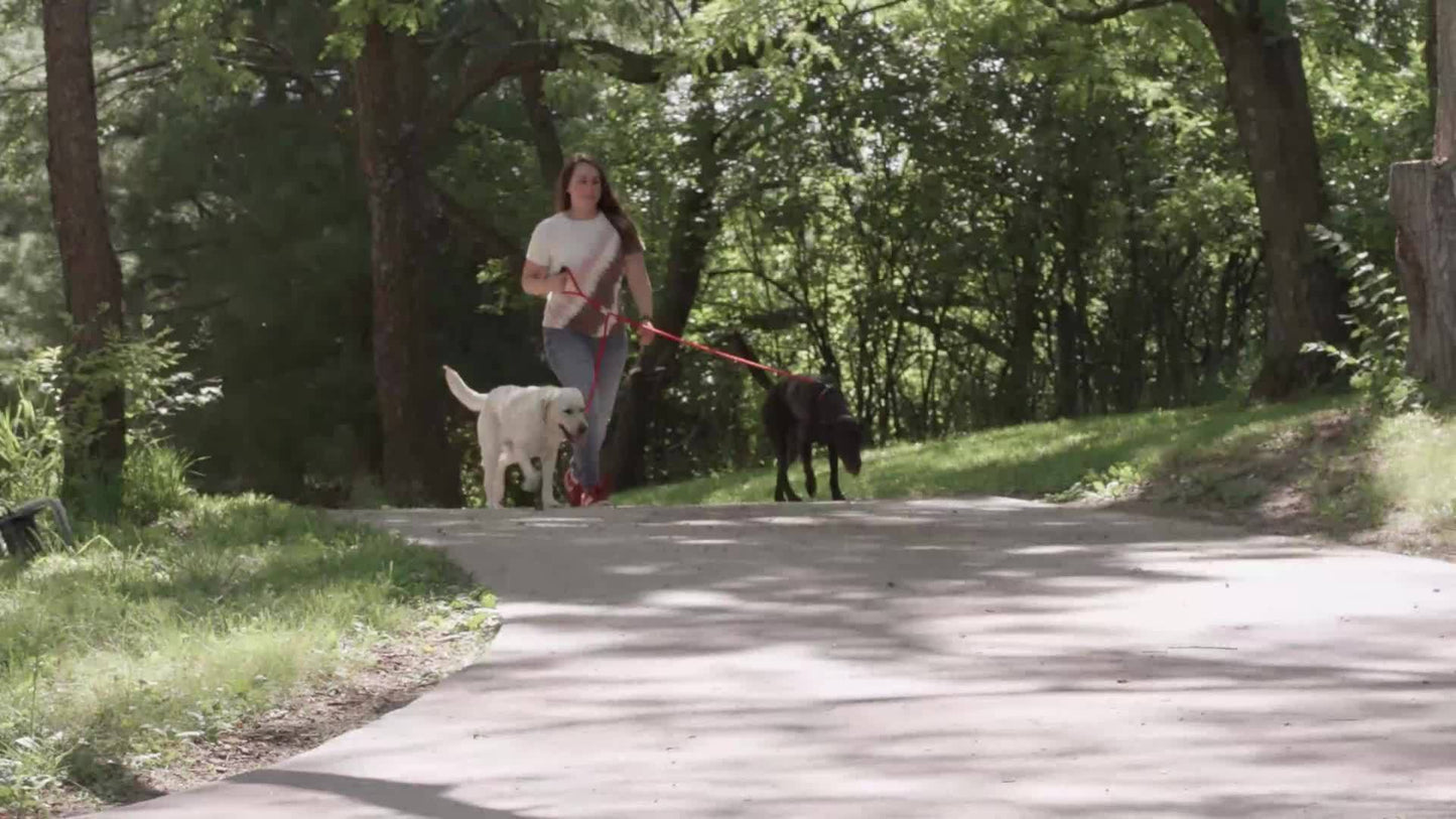 Dual Dog Leash with 360 Degree Swivel and Padded Handle