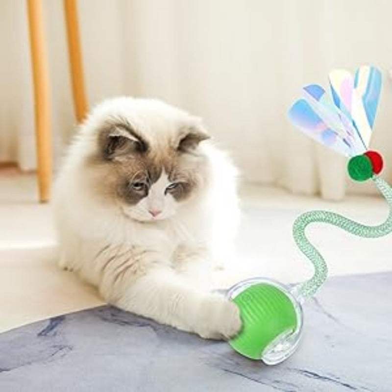 Cat Toy for Indoor Cats – Fun, Safe & Interactive Play for Happy Pets!