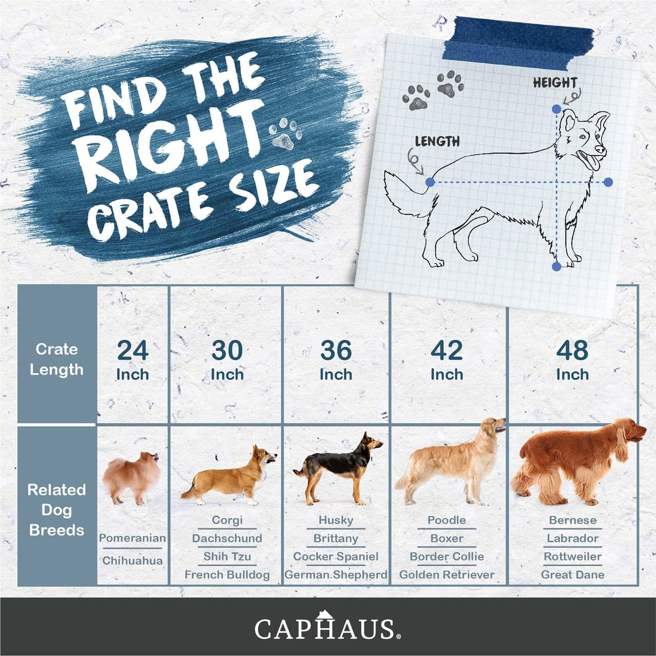 Caphaus Foldable Dog Crate with Leak-Proof Pan and Divider