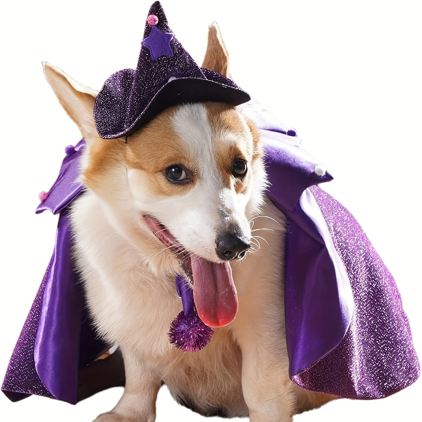 Halloween Witch Cloak And Hat Set For Cats And Dogs