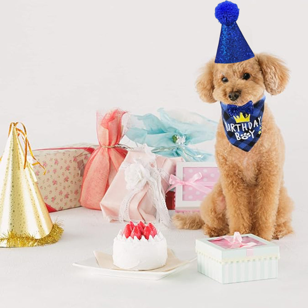 Cute Pet Birthday Party Clothes and Accessories Set for Dogs