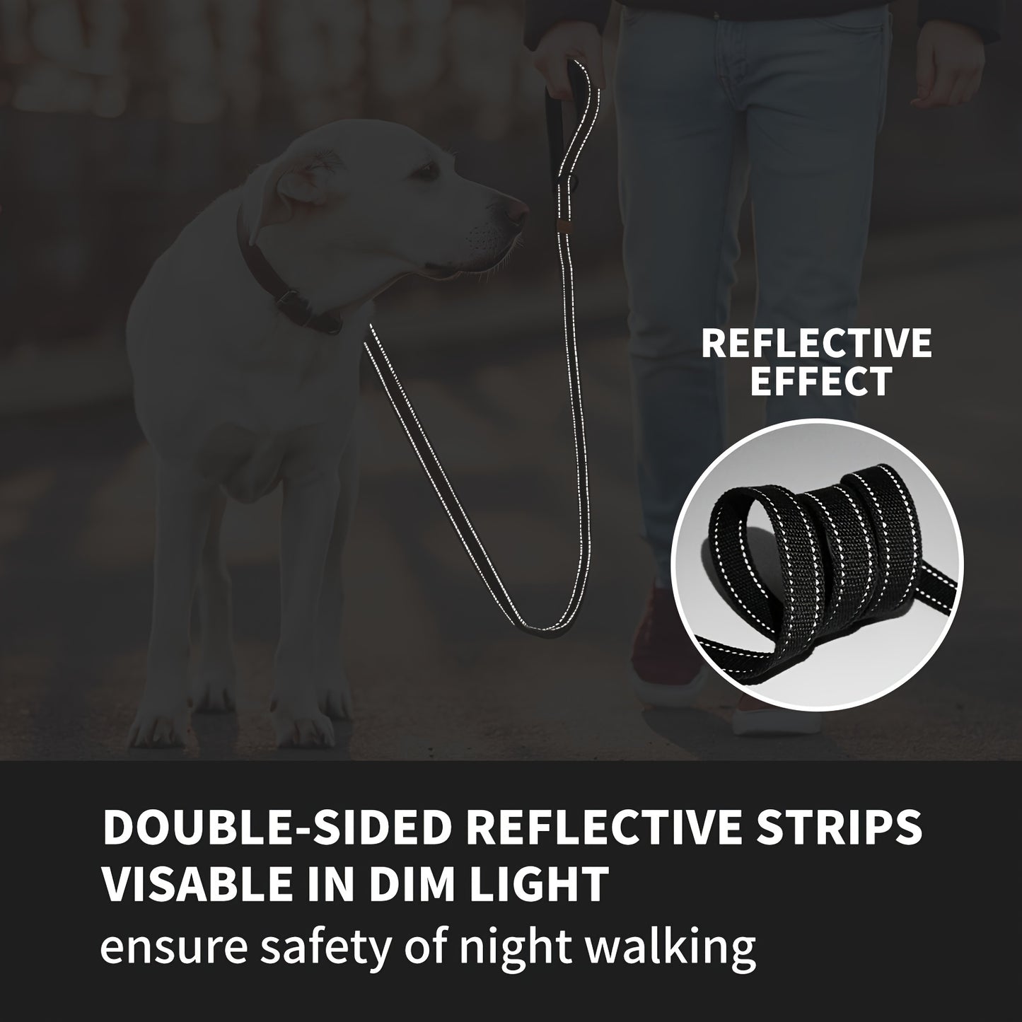 Reflective Nylon Dog Leash with Padded Handle and Swivel Hook
