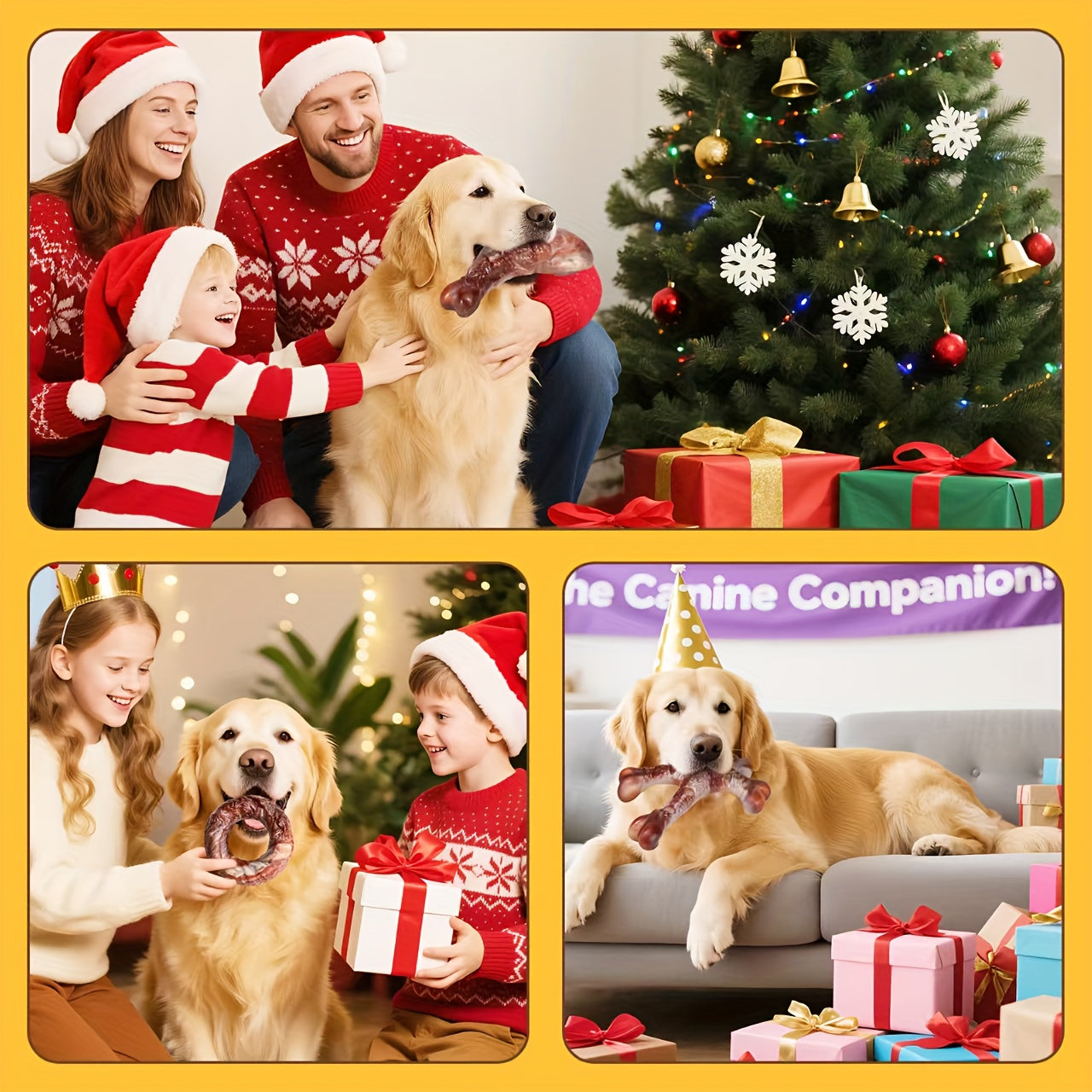 3 Pack Durable Nylon Dog Chew Toys For Large Breeds Bone Shaped