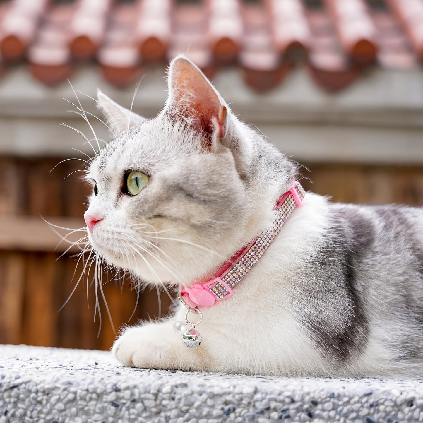 Rhinestone Cat Collar Breakaway With Bell Safety Buckle