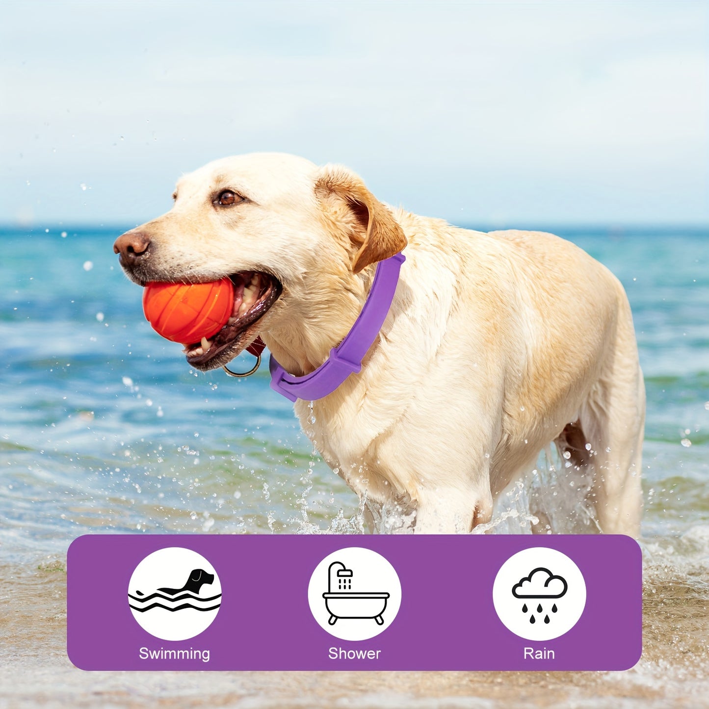Calming Pheromone Collar For Dogs Adjustable Four Pack Set