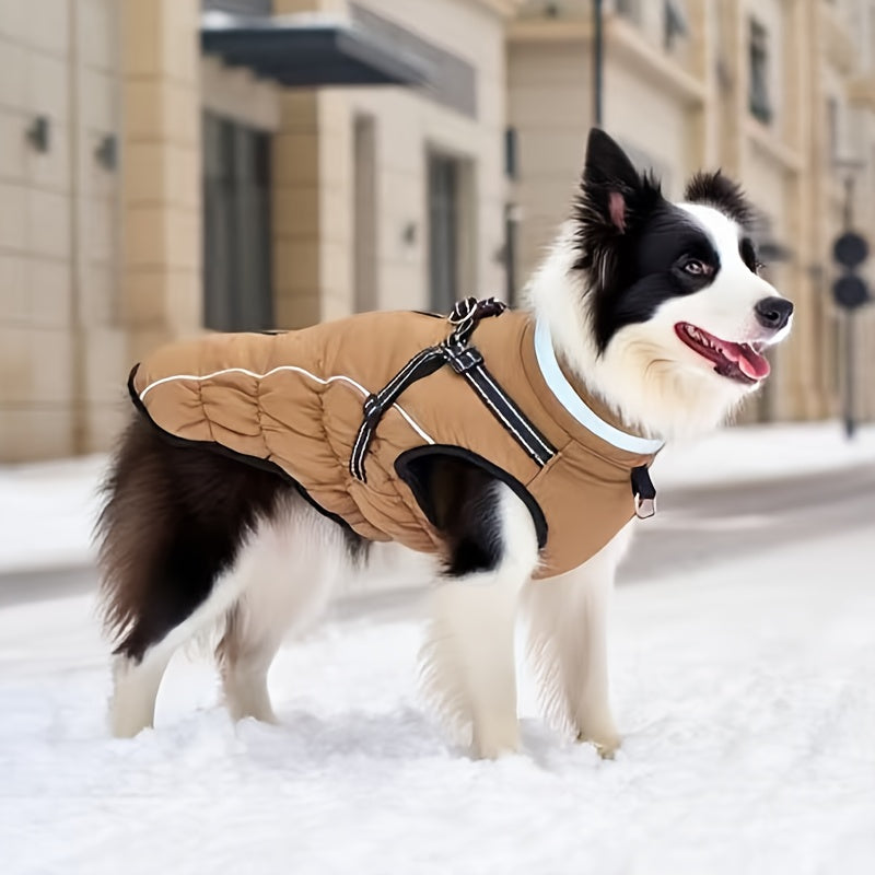 Winter Dog Coat With Leash Harness Reflective Padded Jacket