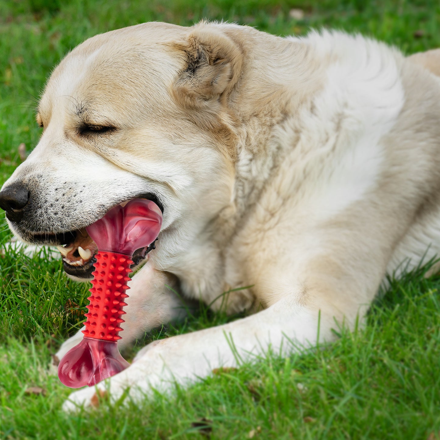 APASIRI Beef and Bacon Indestructible Dog Toys for Chewers