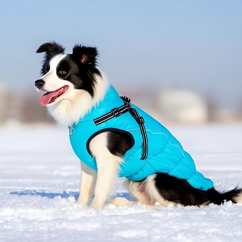 Winter Dog Coat With Leash Harness Reflective Padded Jacket