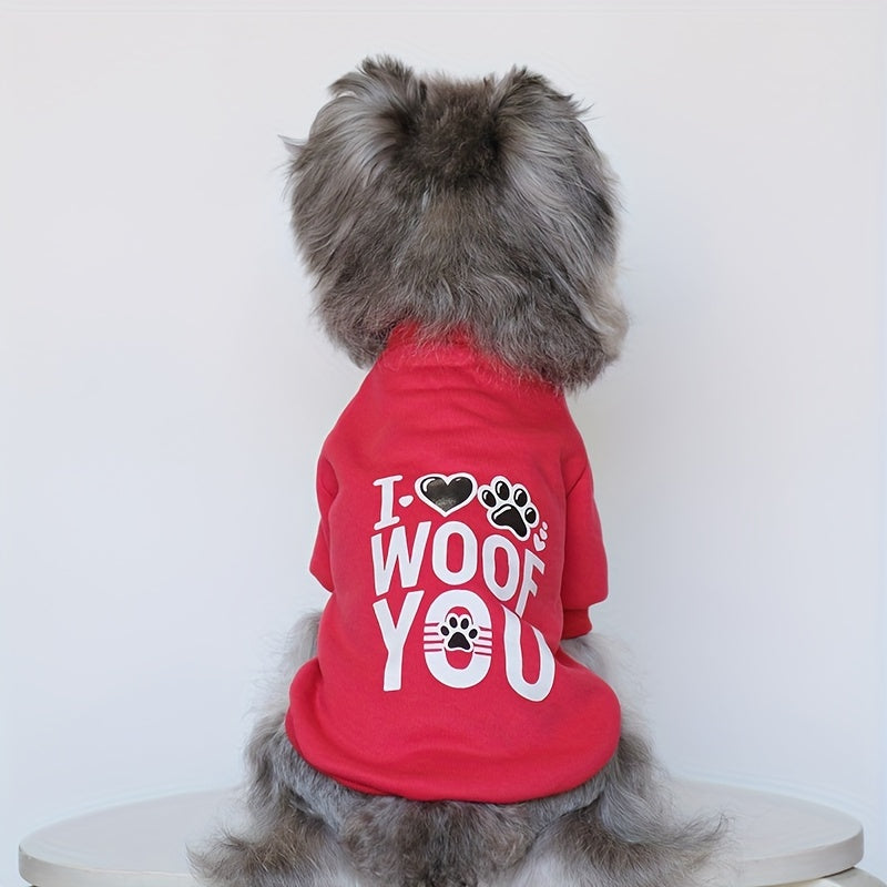 Cute Plus Velvet Dog Sweater Set for Festivals and Fun