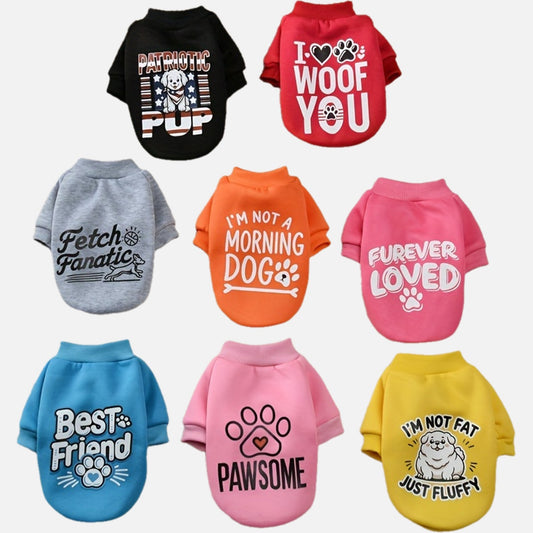 Cute Velvet Dog Sweater Set For Spring And Autumn Today