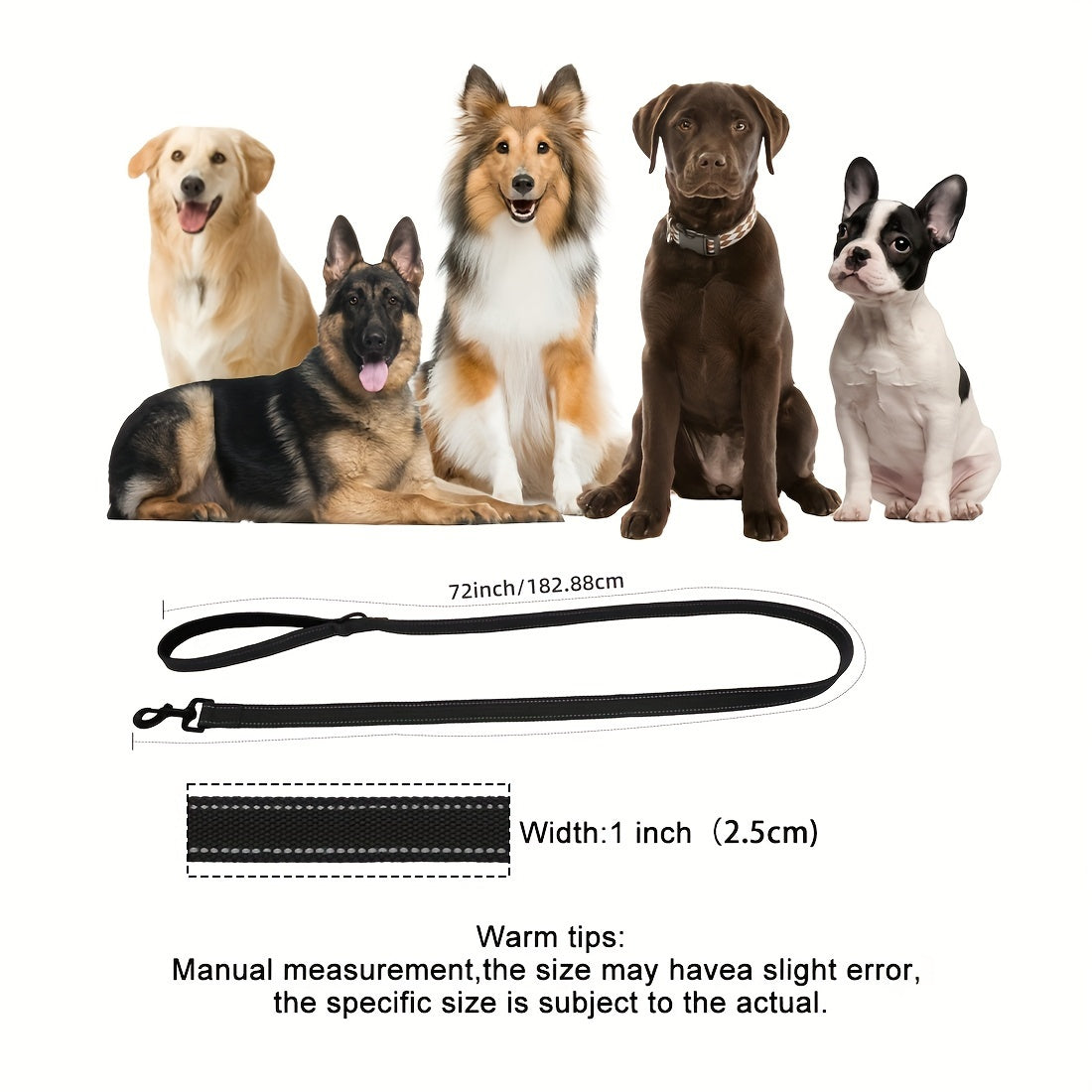 Reflective Nylon Dog Leash with Padded Handle and Swivel Hook