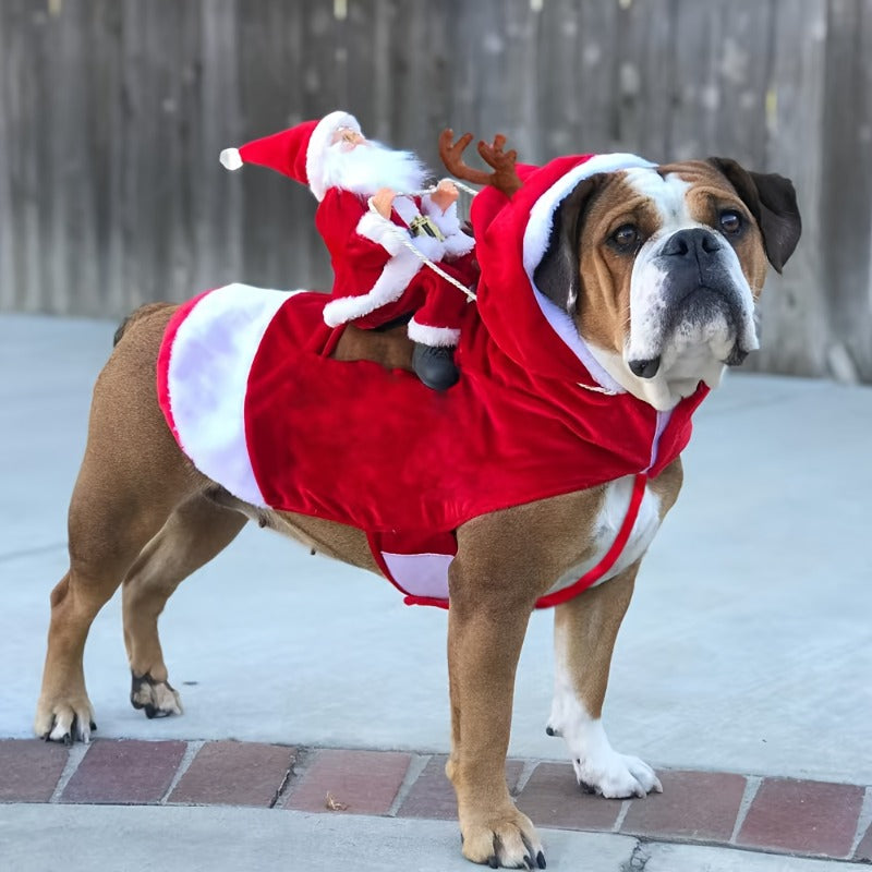 Santa Claus Dog Costume Christmas Outfit With Easy Buckle Collar