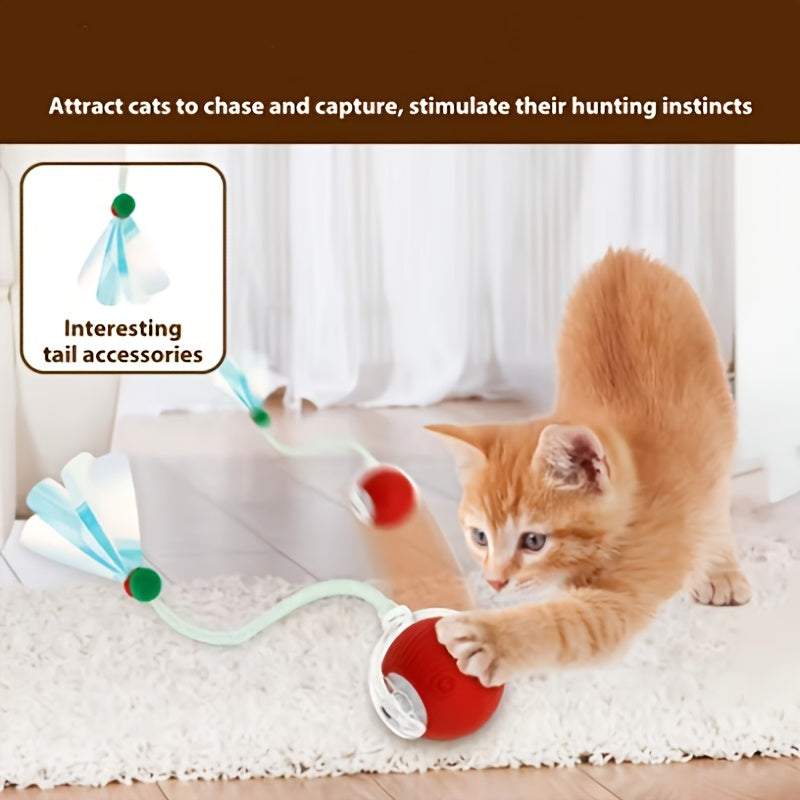 Cat Toy for Indoor Cats – Fun, Safe & Interactive Play for Happy Pets!