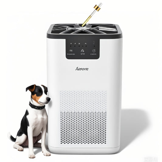 High Efficiency Silent Air Purifier for Large Spaces