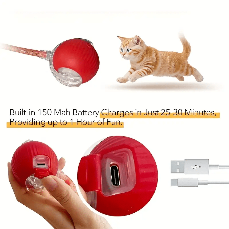 Cat Toy for Indoor Cats – Fun, Safe & Interactive Play for Happy Pets!