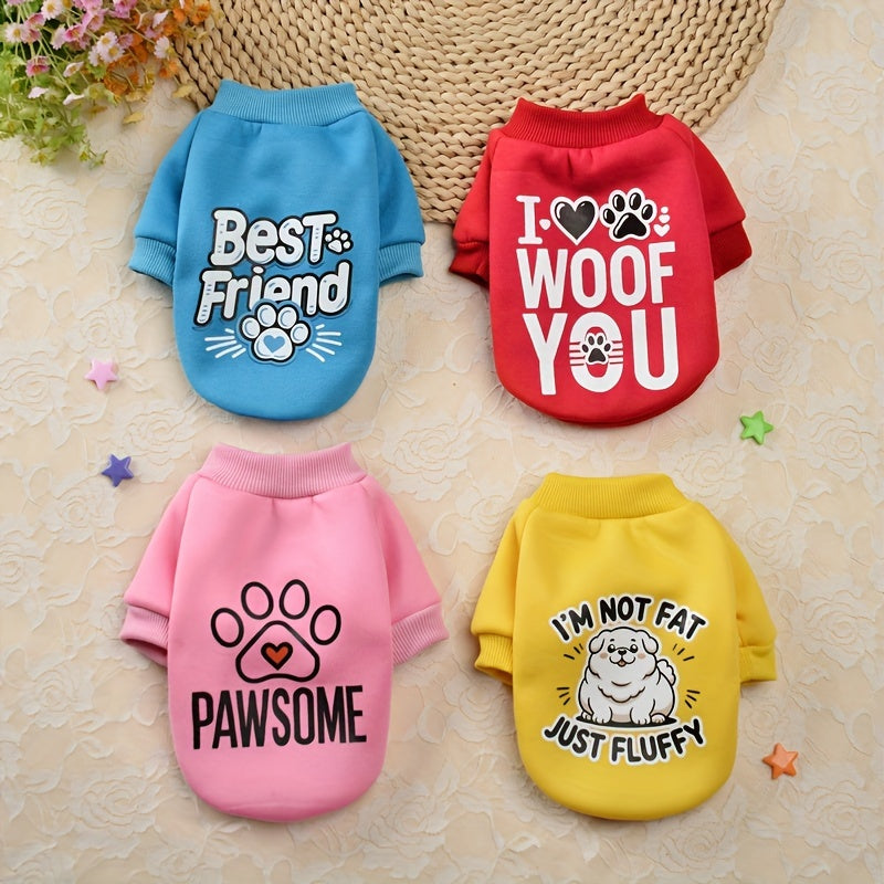 Cute Plus Velvet Dog Sweater Set for Festivals and Fun