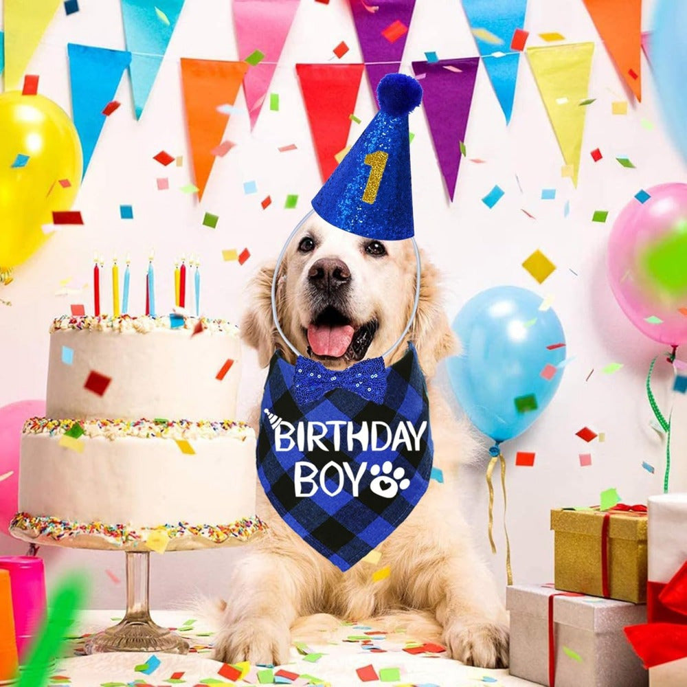 Cute Pet Birthday Party Clothes and Accessories Set for Dogs