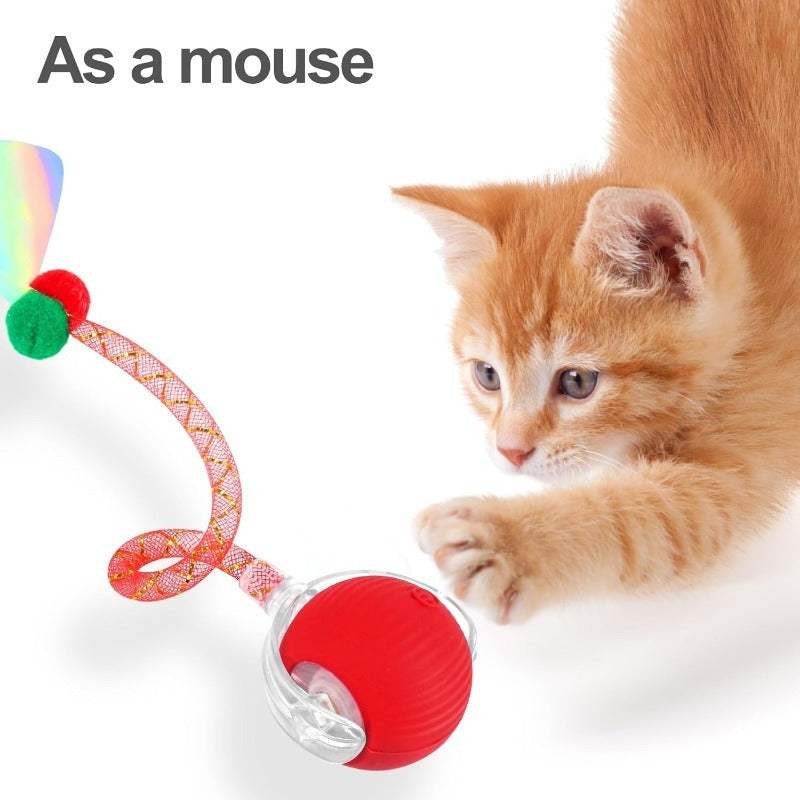 Cat Toy for Indoor Cats – Fun, Safe & Interactive Play for Happy Pets!