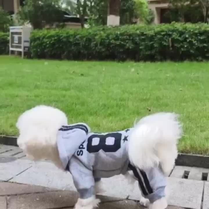 Mach Pet Hoodie Cats And Dogs Back Print Striped Bar