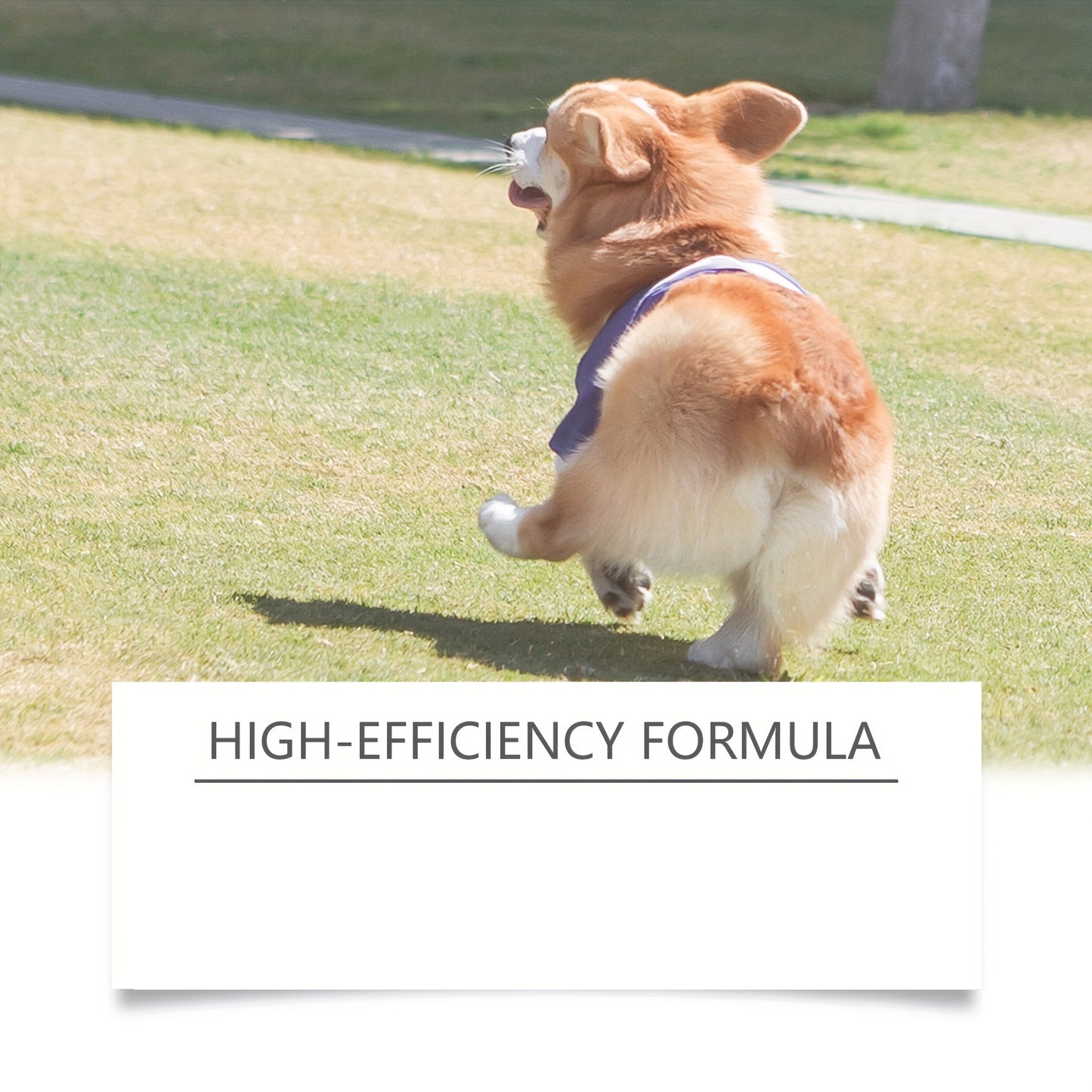 Yegebong Dog Odor Removal Spray for Fresh Post-Poo Care