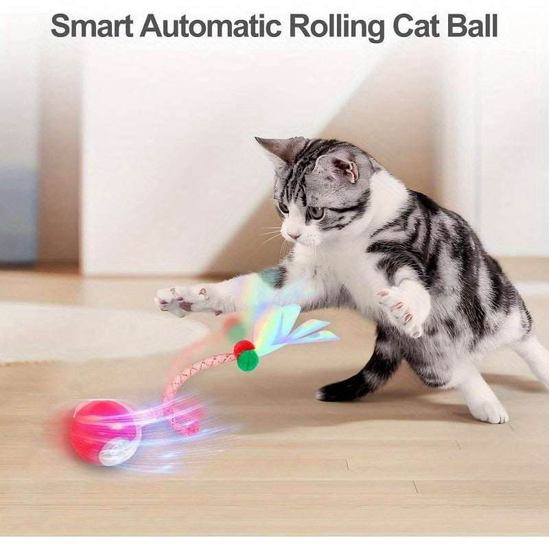 Cat Toy for Indoor Cats – Fun, Safe & Interactive Play for Happy Pets!